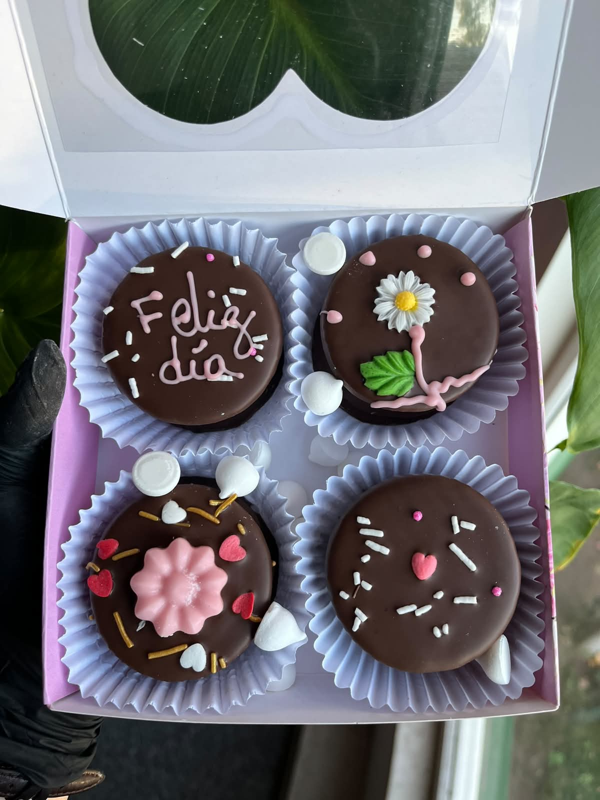 Caja Lou Sweet